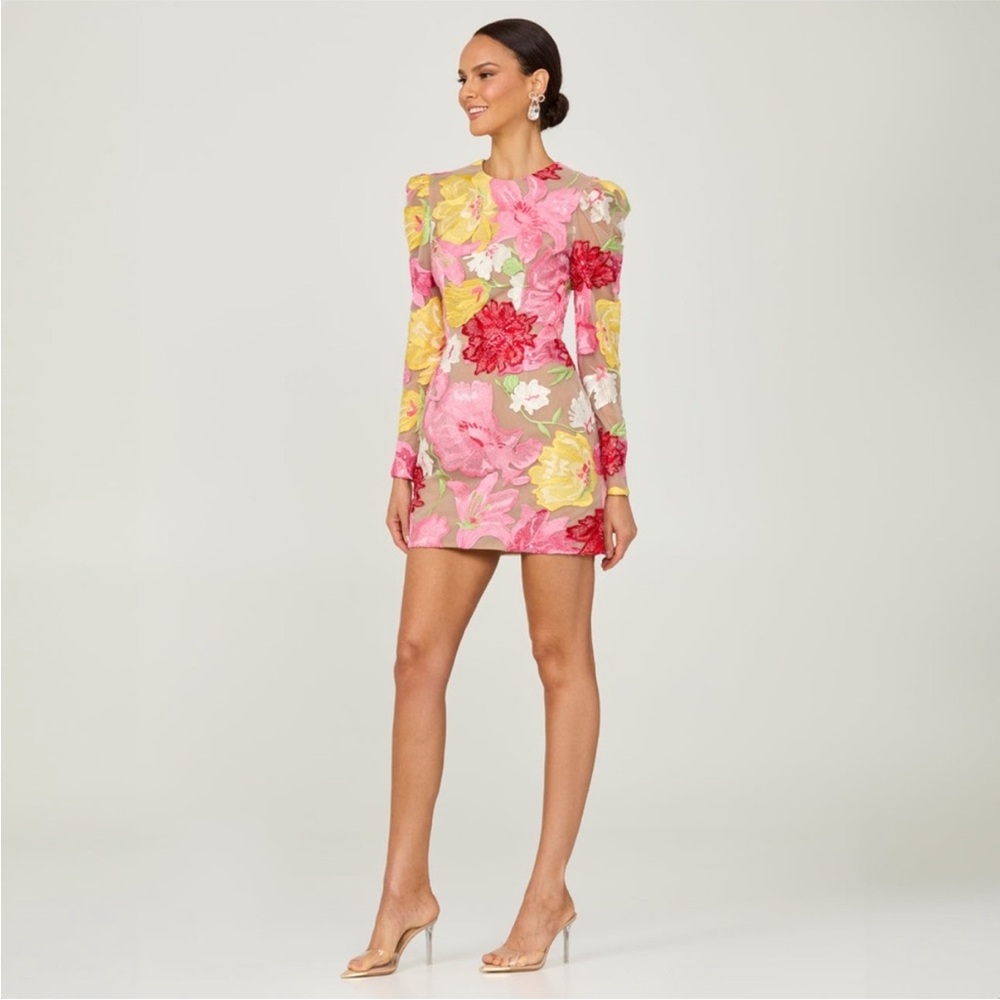 Helsi Erika Embroidered Floral Long Sleeve Mini Dress